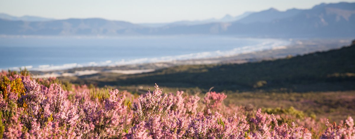 Phinda Wilderness