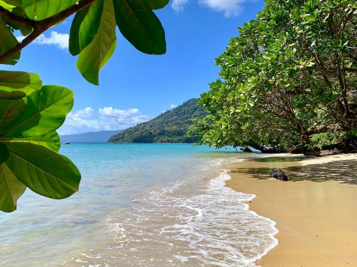 Beach and Primary Rainforest at Masoala Forest Lodge in Madagascar