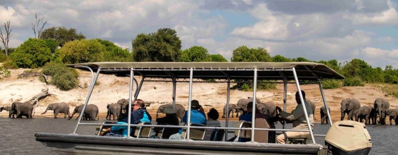 Botswana Luxury Safaris with Bellingham Safaris Chobe boating