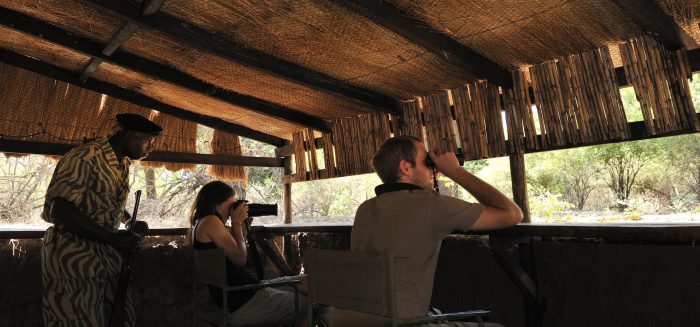 Zambia - Lower Zambezi - Bellingham Safaris - Luxury Safaris - Chiawa Camp