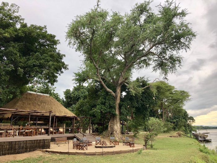Zambia - Lower Zambezi - Bellingham Safaris - Luxury Safaris - Chiawa Camp