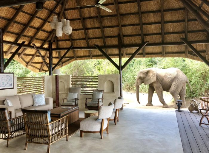 Zambia - Lower Zambezi - Bellingham Safaris - Luxury Safaris - Chiawa Camp