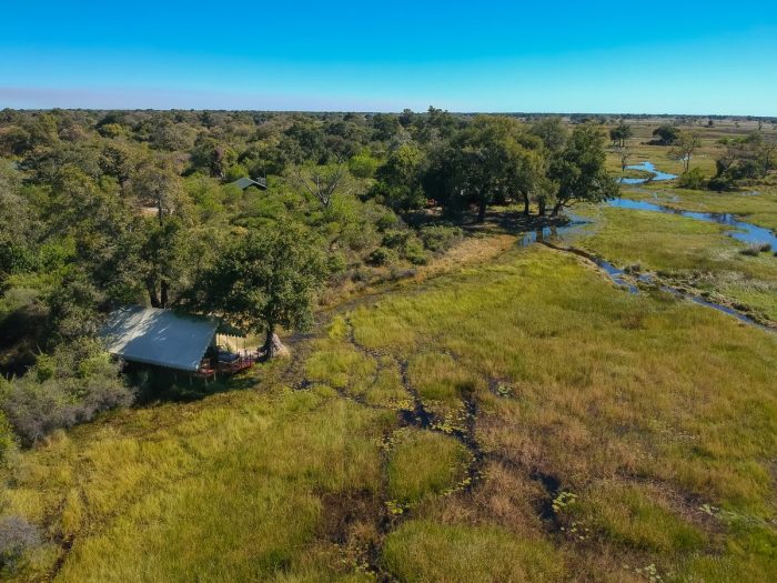 Dukes Camp in Okavango Delta in Botswana with Bellingham Safaris in Luxury