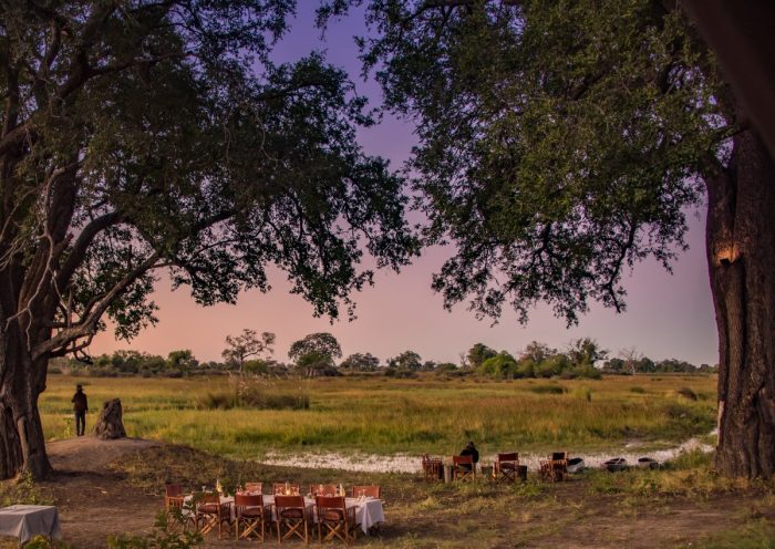 Dukes Camp in Okavango Delta in Botswana with Bellingham Safaris in Luxury
