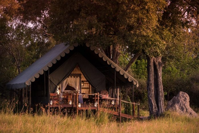 Dukes Camp in Okavango Delta in Botswana with Bellingham Safaris in Luxury