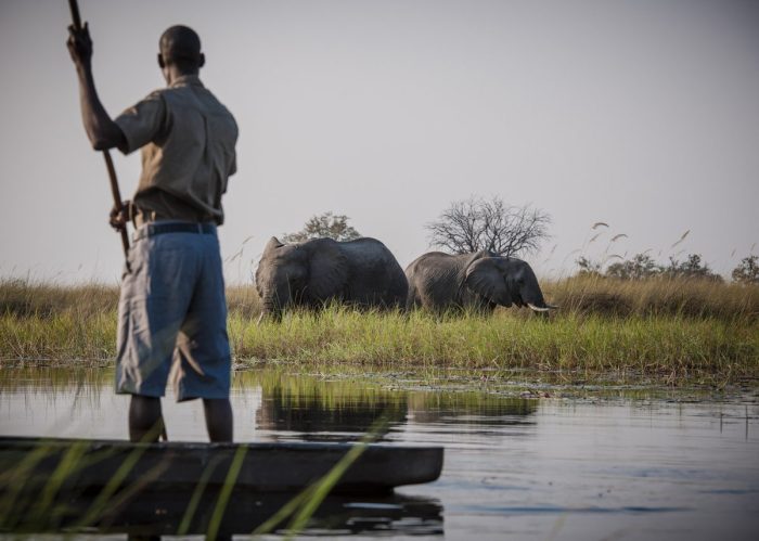 Dukes Camp in Okavango Delta in Botswana with Bellingham Safaris in Luxury