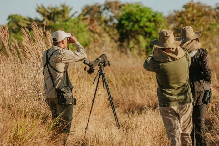 Birding in Pousada Trijuncao in Cerrado in Brazil in Luxury Safaris