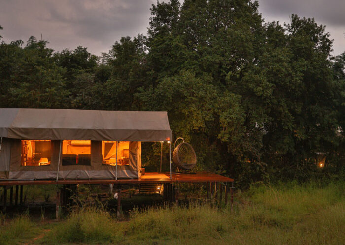 The Untamed Bandhavgarh Camp in India in Luxury Safaris