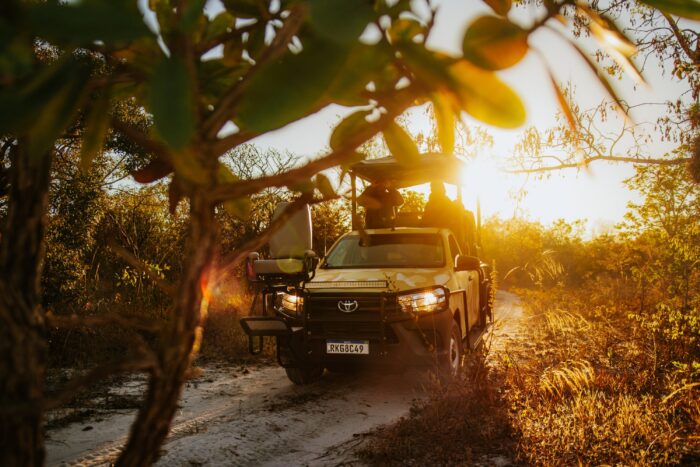 Game Drive in Pousada Trijuncao in Cerrado in Brazil in Luxury Safaris