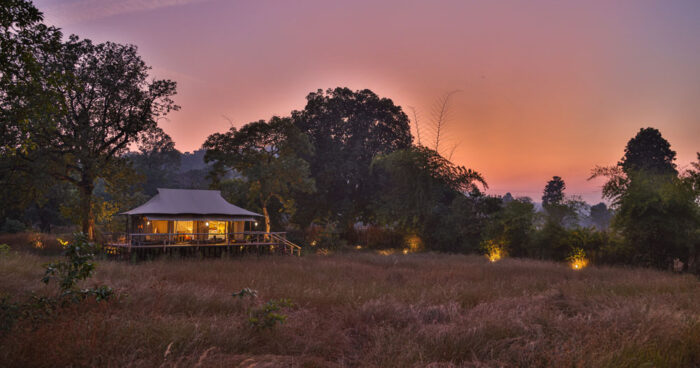 The Untamed Bandhavgarh Camp in India in Luxury Safaris