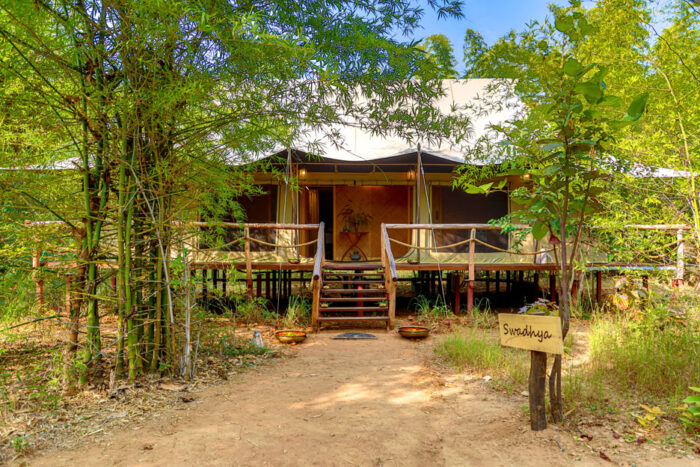 The Untamed Bandhavgarh Camp in India in Luxury Safaris