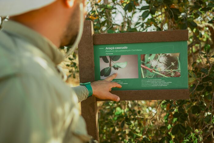Botanic Walk in Pousada Trijuncao in Cerrado in Brazil in Luxury Safaris