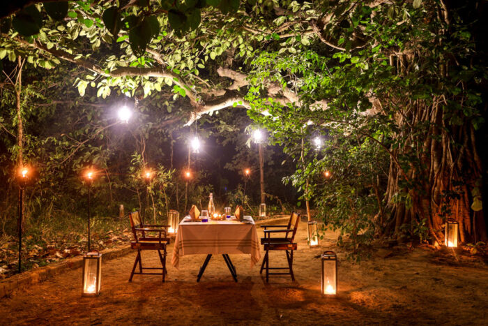 The Untamed Bandhavgarh Camp in India in Luxury Safaris