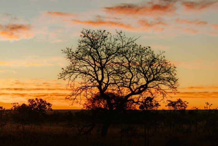 Sunset in Pousada Trijuncao in Cerrado in Brazil in Luxury Safaris