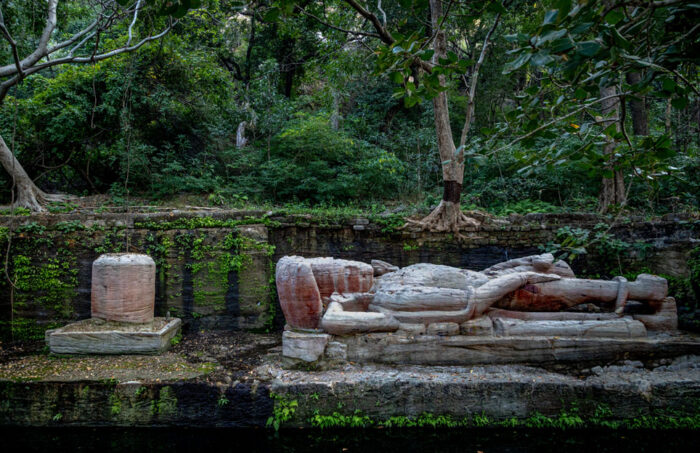 The Untamed Bandhavgarh Camp in India in Luxury Safaris