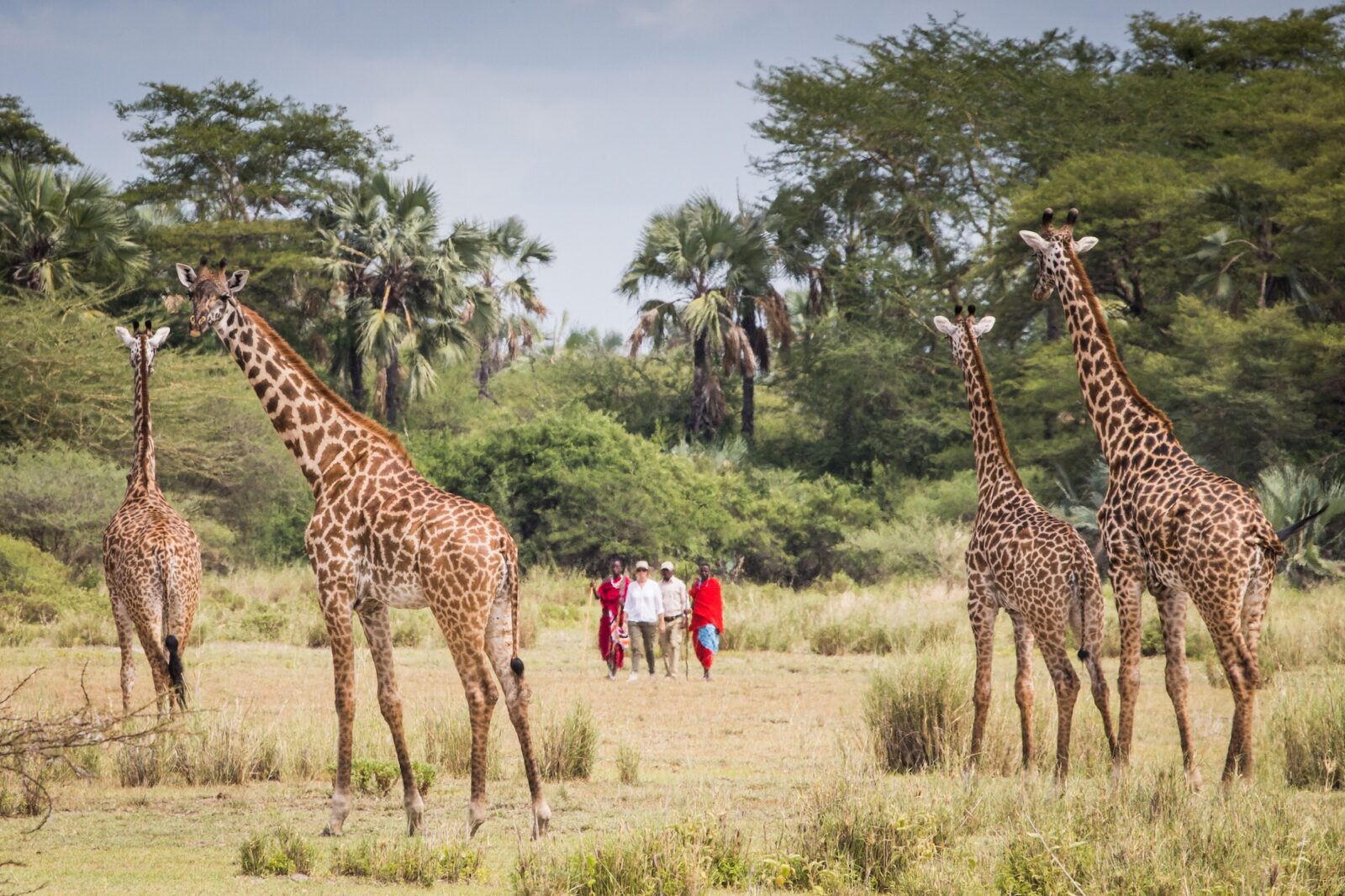 Chem Chem Lodge-Safari-Tanzania