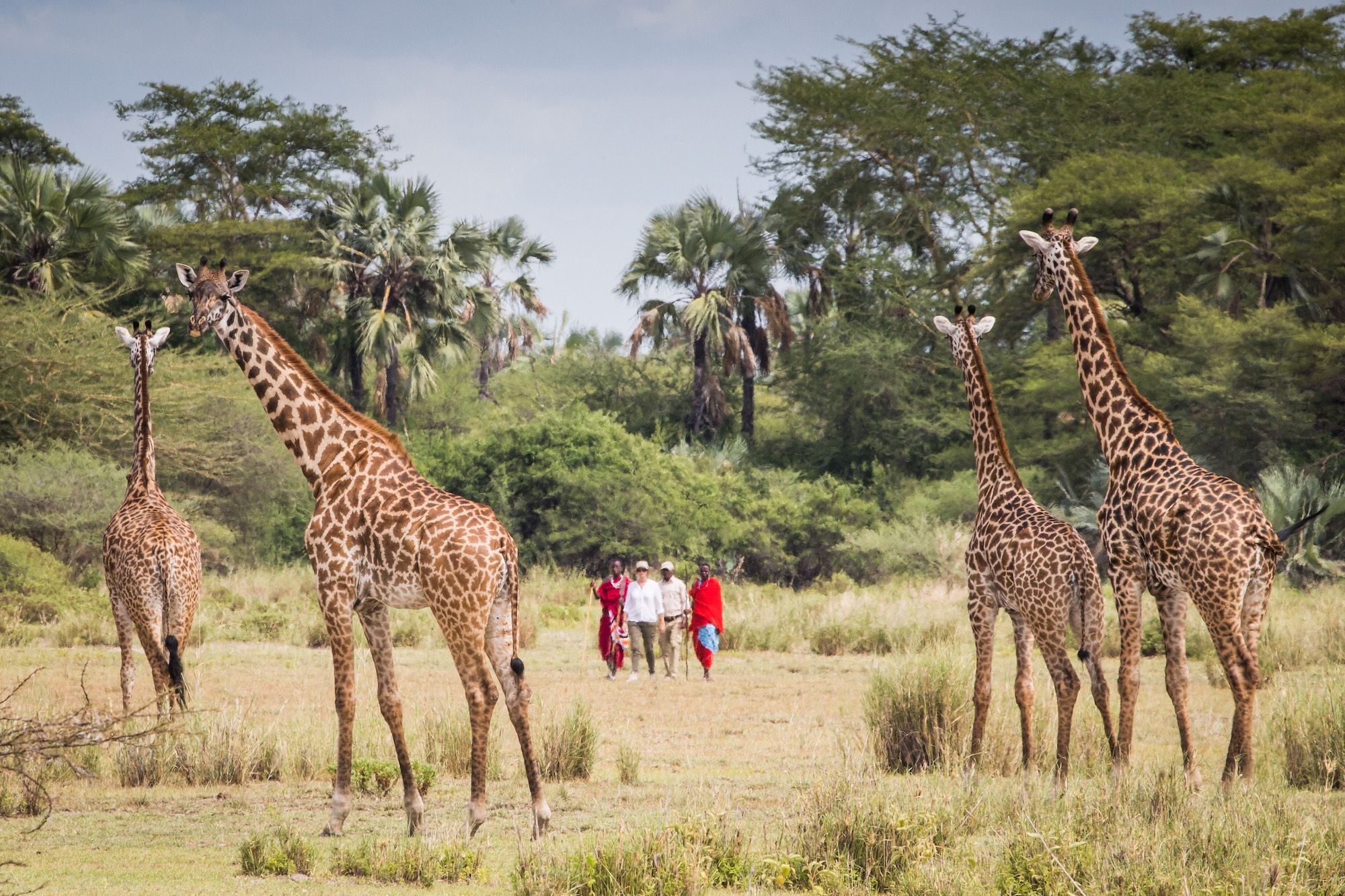 Chem Chem Lodge-Safari-Tanzania