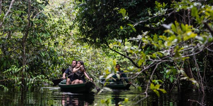 Anavilhanas Lodge in Amazon in Brazil in Luxury Safaris In Bellingham Safaris