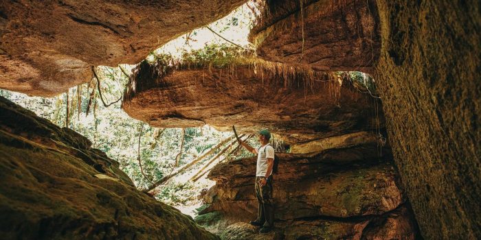 Anavilhanas Lodge in Amazon in Brazil in Luxury Safaris In Bellingham Safaris