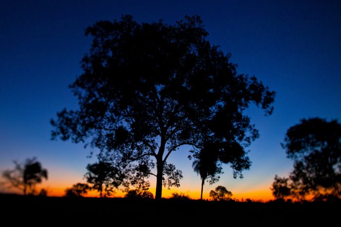 Casa Caiman / Caiman Lodge in Pantanal Brazil
