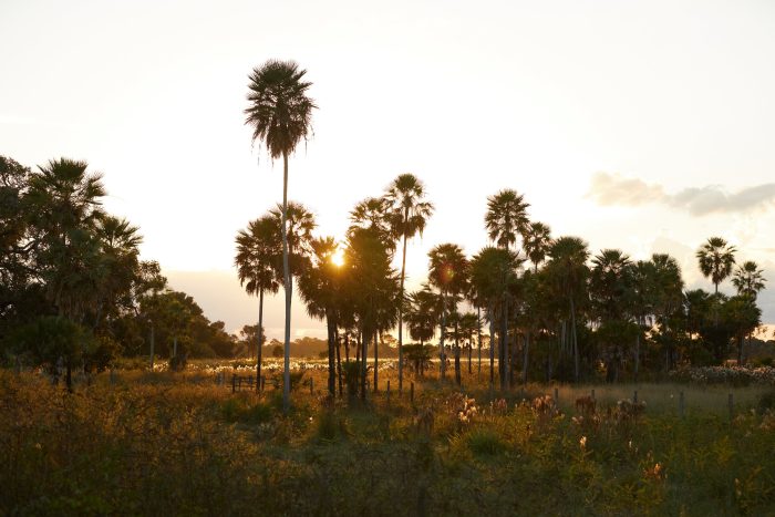 Casa Caiman / Caiman Lodge in Pantanal Brazil
