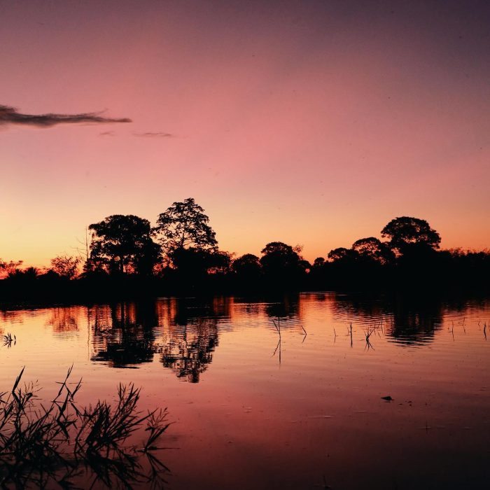 Casa Caiman / Caiman Lodge in Pantanal Brazil