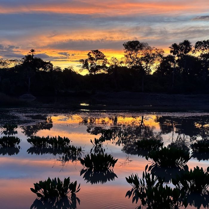 Casa Caiman / Caiman Lodge in Pantanal Brazil