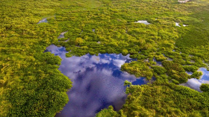 Casa Caiman / Caiman Lodge in Pantanal Brazil