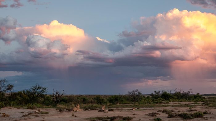 Plains Camp at Samara Karoo Reserve in South Africa - Website Lodge Gallery