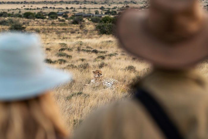 Plains Camp at Samara Karoo Reserve in South Africa - Website Lodge Gallery