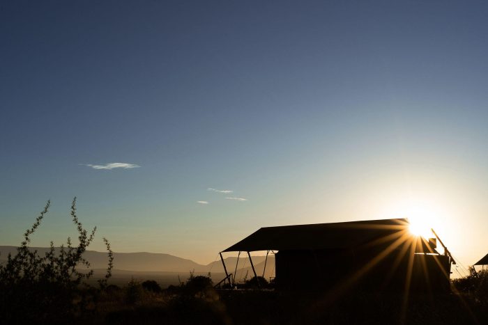 Plains Camp at Samara Karoo Reserve in South Africa - Website Lodge Gallery