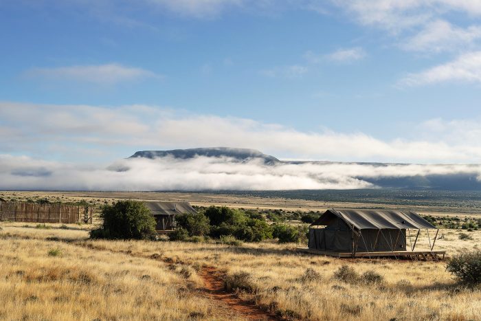 Plains Camp at Samara Karoo Reserve in South Africa - Website Lodge Gallery