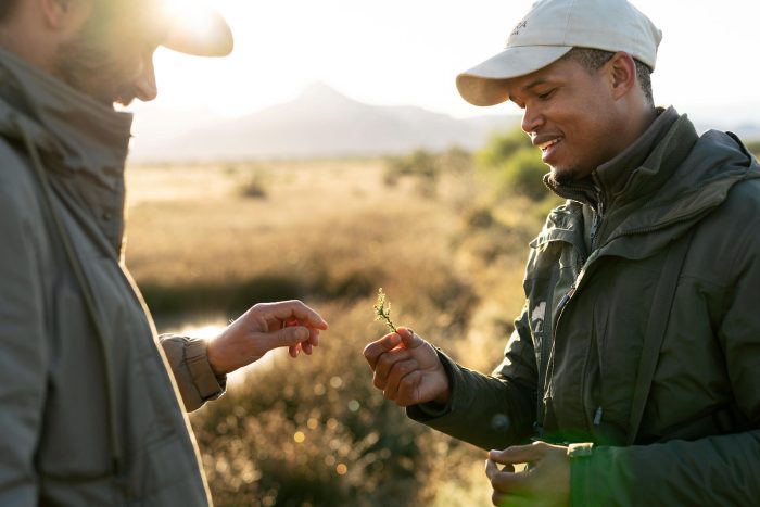 Plains Camp at Samara Karoo Reserve in South Africa - Website Lodge Gallery