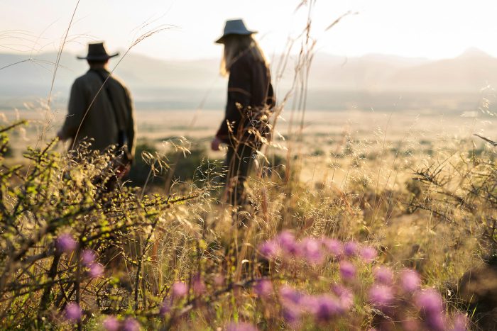 Plains Camp at Samara Karoo Reserve in South Africa - Website Lodge Gallery