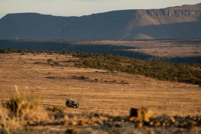 Plains Camp at Samara Karoo Reserve in South Africa - Website Lodge Gallery