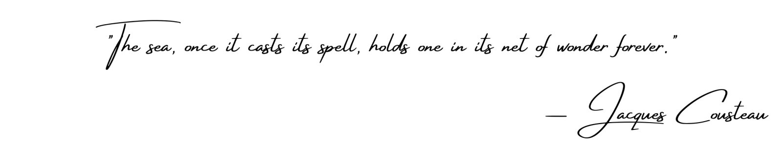 Website Quotes - Maldives