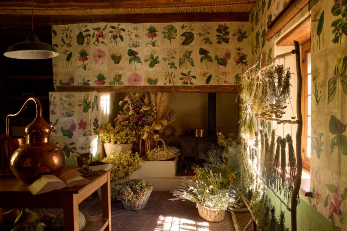 Sterrekopje Farm in Cape Winelands in South Africa - Website Gallery