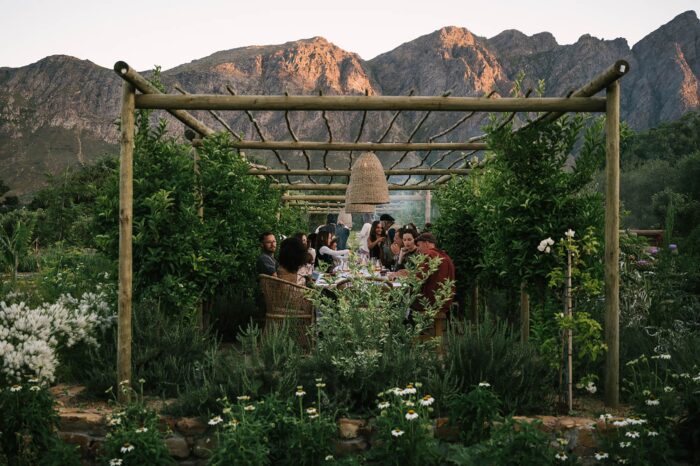 Sterrekopje Farm in Cape Winelands in South Africa - Website Gallery