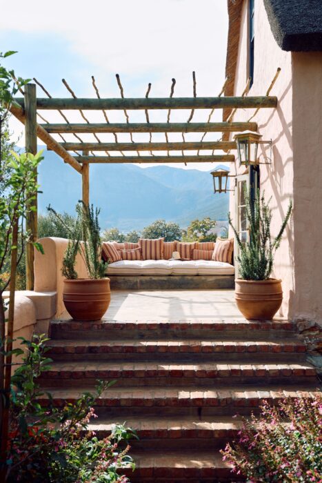 Sterrekopje Farm in Cape Winelands in South Africa - Website Gallery