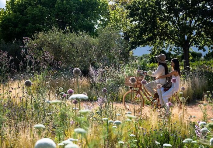 Sterrekopje Farm in Cape Winelands in South Africa - Website Gallery