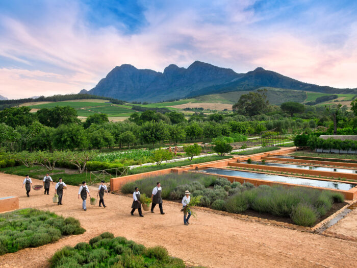 Babylonstoren in Cape Winelands in South Africa - Website Gallery