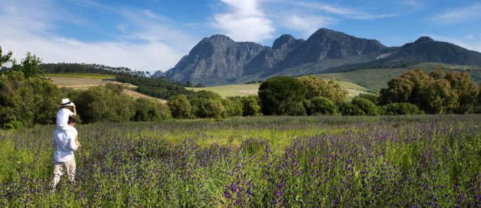 Babylonstoren in Cape Winelands in South Africa - Website Gallery