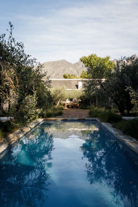 Sterrekopje Farm in Cape Winelands in South Africa - Website Gallery